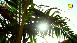 Guddu - Episode 62 - 18th Oct 2022